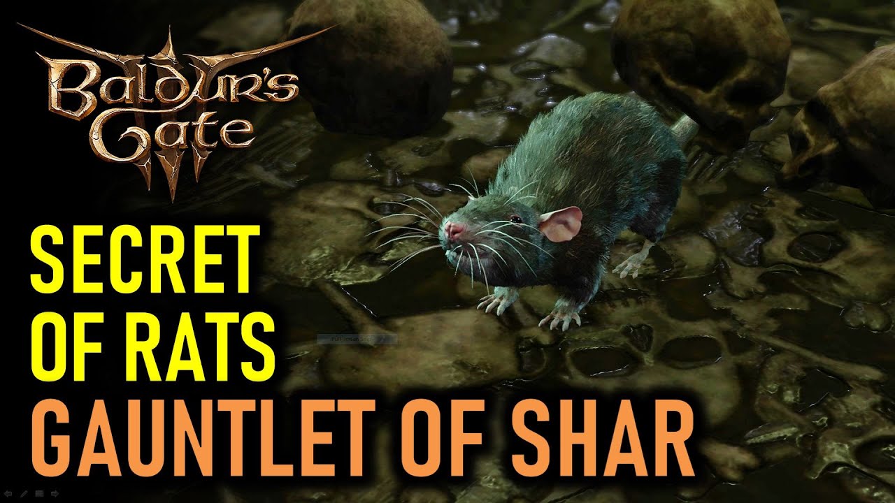 Solve the Secret of Rats in Shars Gauntlet Easily