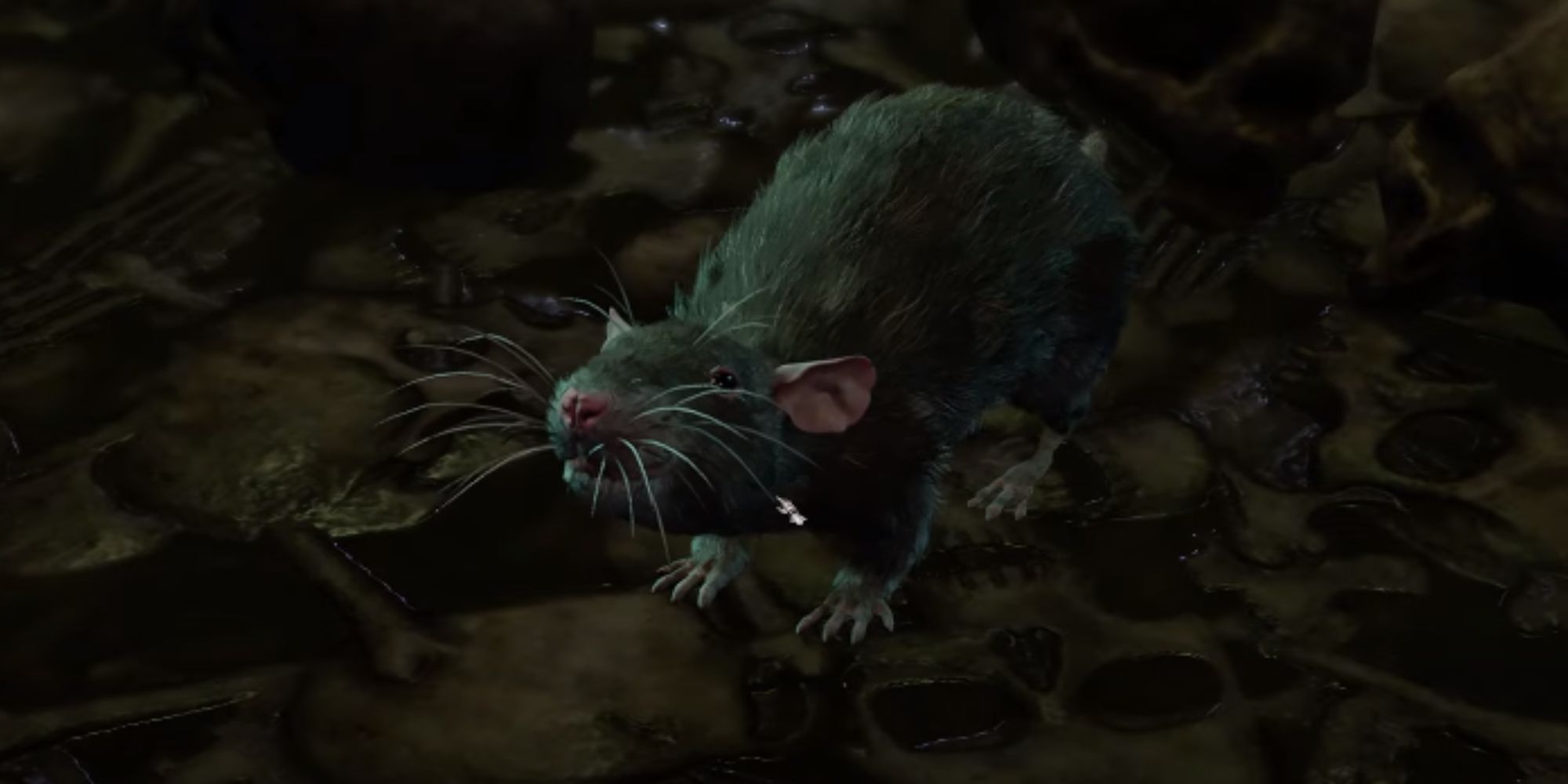 Baldurs Gate 3 Rats: Small Enemies, Big Problems?