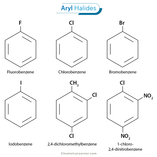 What Does Aryl Mean? A Quick Guide to Aryl Groups