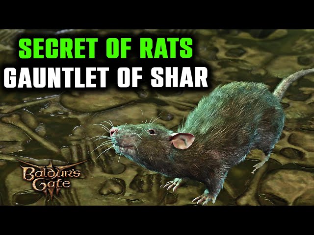 Rat by Shar BG3: Unexpected Companion or Hidden Danger?