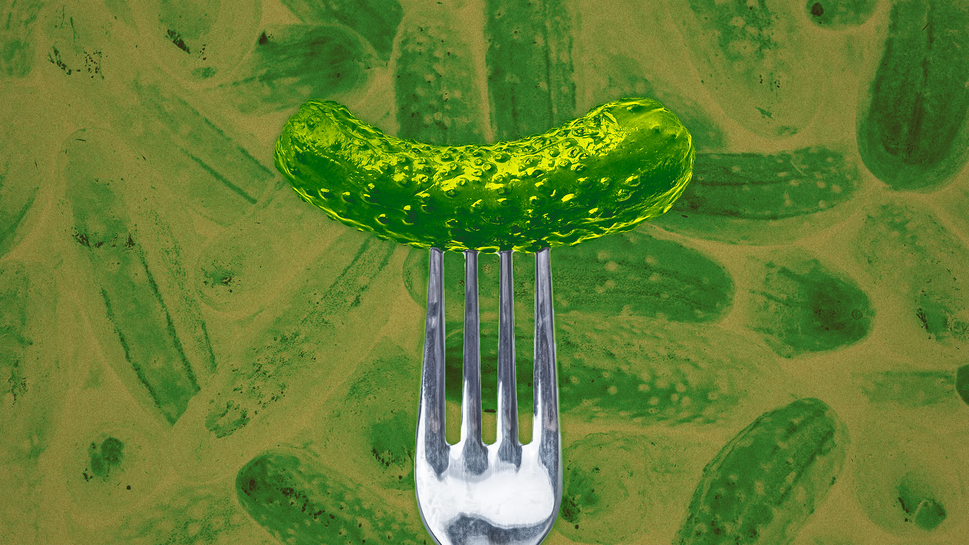 Pickle Dickle Craze: Why Everyones Obsessed and Where to Get It